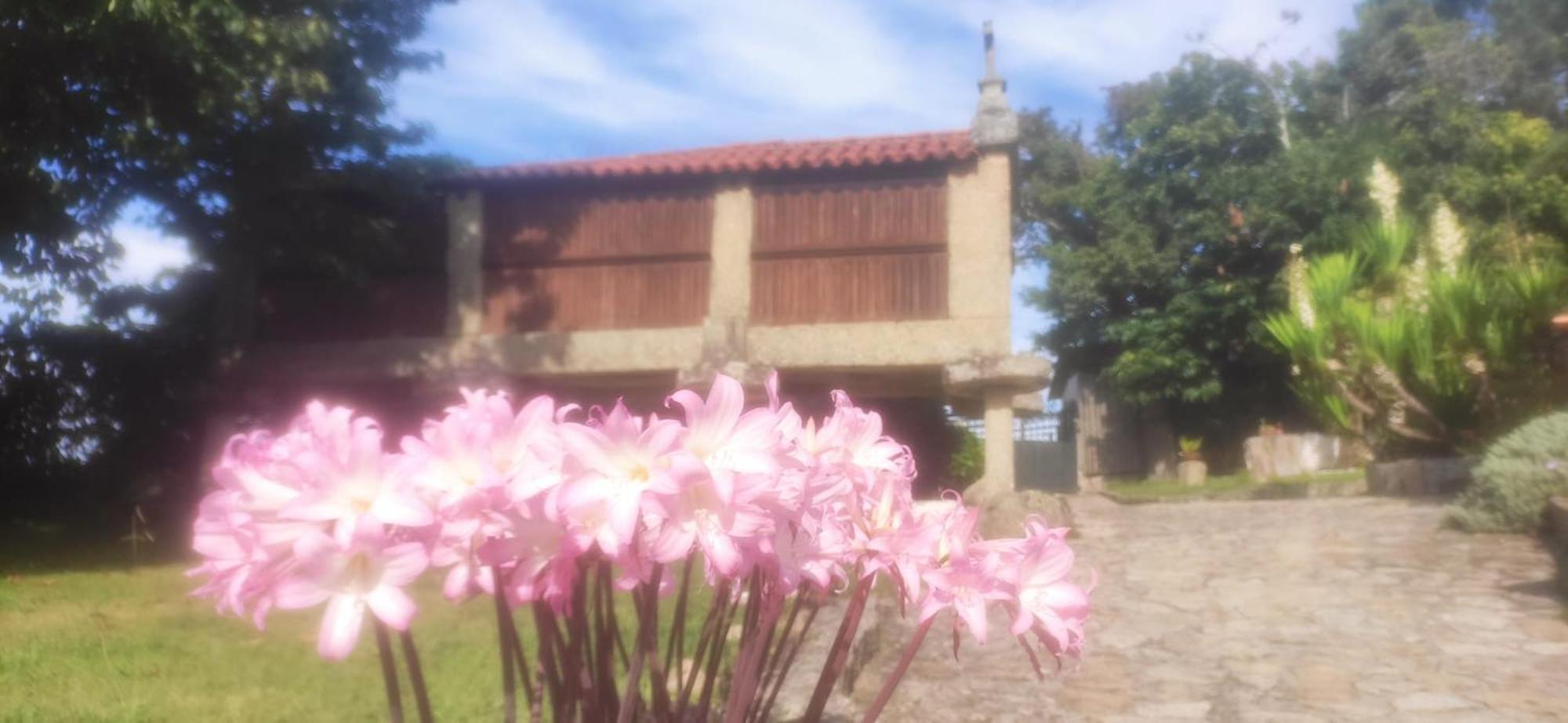 Casal De Folgueiras Rias Baixas Guest House Meis Bagian luar foto